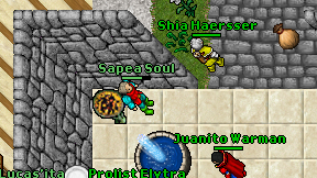 Sapea Soul on screen