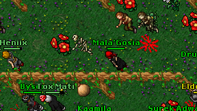 Mala'Gosia on screen