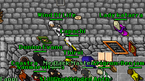 Capachi on screen