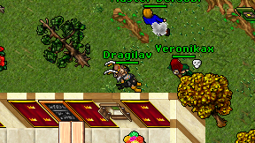 Dragilav on screen