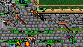Maxis on screen