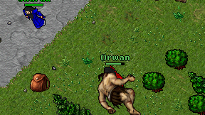 Orwan on screen