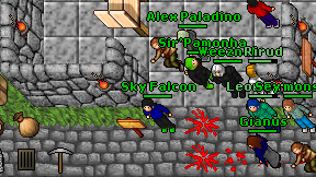 Sky Falcon on screen