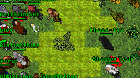 Chaos-tyz on screen