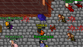 Nikko on screen