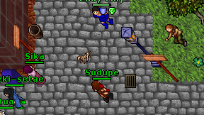 Sudupe on screen