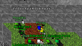 Picoz on screen