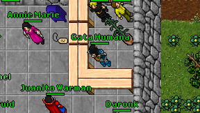 Gata Humana on screen