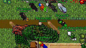 Malachii on screen