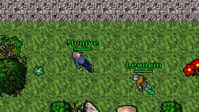Munive on screen