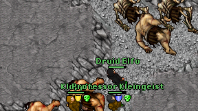 Druid Elfo on screen