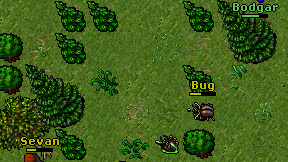 Bodgar on screen
