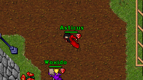 Asticus on screen