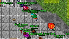Gold Nigiderkos on screen