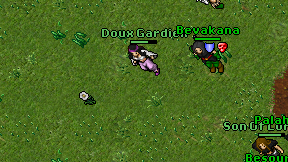 Doux Gardien on screen