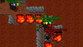 Tecumesh Elder on screen