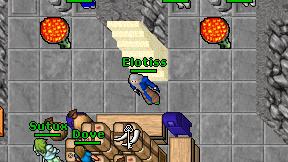 Elotiss on screen