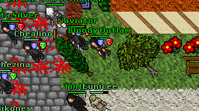 Bloody Outlaw on screen
