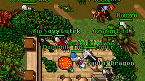 Novy Lutek on screen