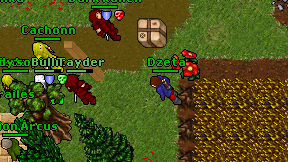 Dzeta on screen