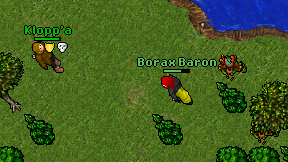 Borax Baron on screen