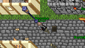 Venuhe on screen