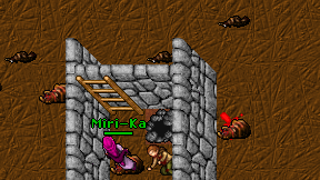 Miri-Ka on screen