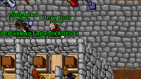 Herr Buls on screen