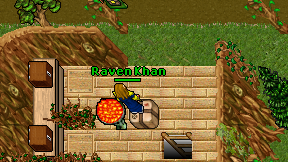 Raven Khan on screen