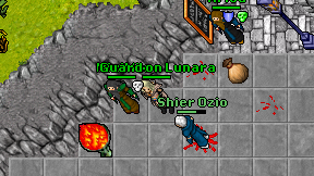 Guard on Lunara on screen