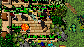 Kludi on screen