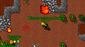 Winogronowa Dama on screen