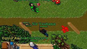 Sir Tsubasa on screen