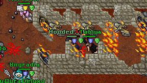 Hooded Paladin on screen
