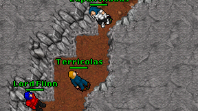 Terricolas on screen