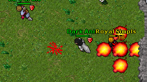 Dark Anix on screen