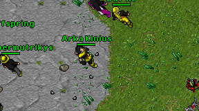 Arka Kinius on screen