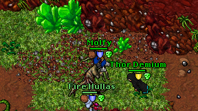 Molfy on screen