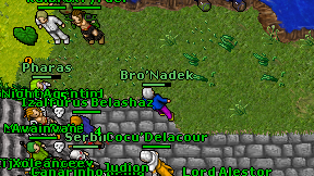 Bro'Nadek on screen
