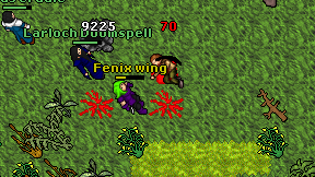 Fenix wing on screen