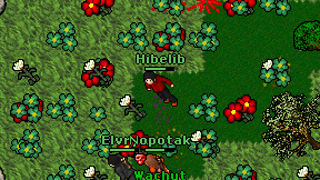 Hibelib on screen