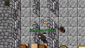 Shadow Paulo on screen