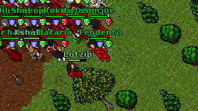 Lotzip on screen