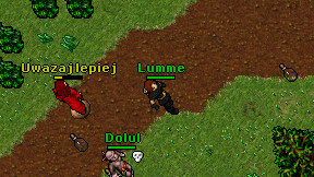 Lumme on screen