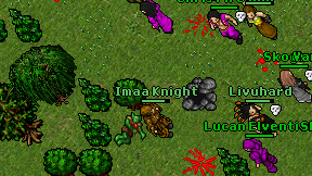Imaa Knight on screen