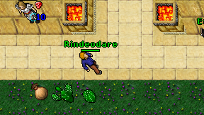 Rindeodare on screen