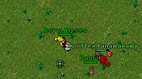 Royal Atenea on screen