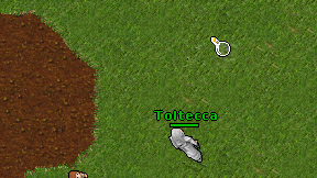 Toltecca on screen