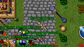 Sacred Rose on screen