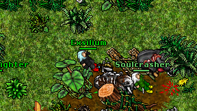 Exsilium on screen